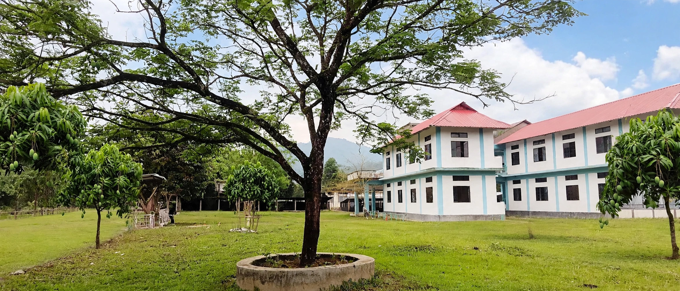 Donyi Polo Government College