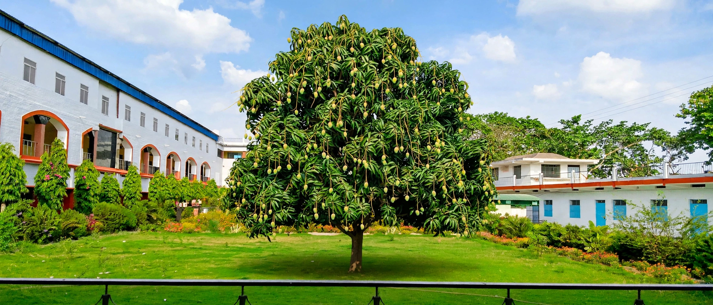 Shershah College